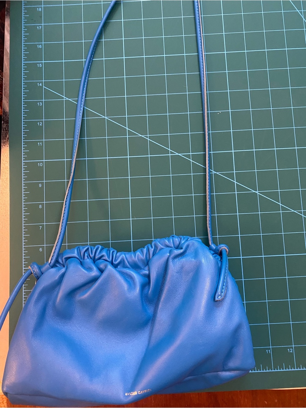 Masur Gavriel crossshody bag